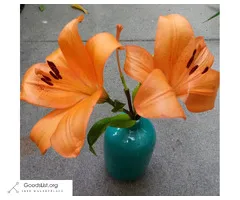Teal-Turquoise Ceramic Vase
