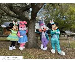 EASTER BUNNY FOR HIRE (Dade & broward)