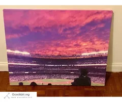 Baseball Stadium Art Canvas (24" x 30")