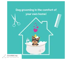 Professional Dog Grooming In Your Home (York County, PA)