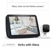 Blink Mini Compact Indoor Plug In Smart Security Camera Works w/ Alexa