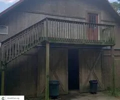 $600 / 1br - 600ft2 - horse lovers dream