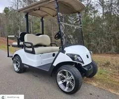 2019 Yamaha Drive 2 Ac 48V