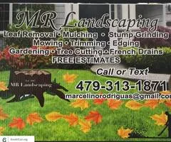 MR Landscaping- Leaf Cleanup